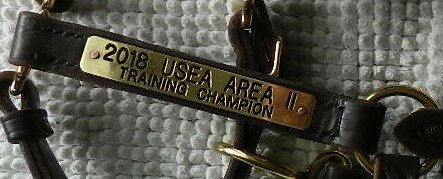 halter plate example