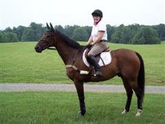 Anne_Schmid_Salisbury_WinCE